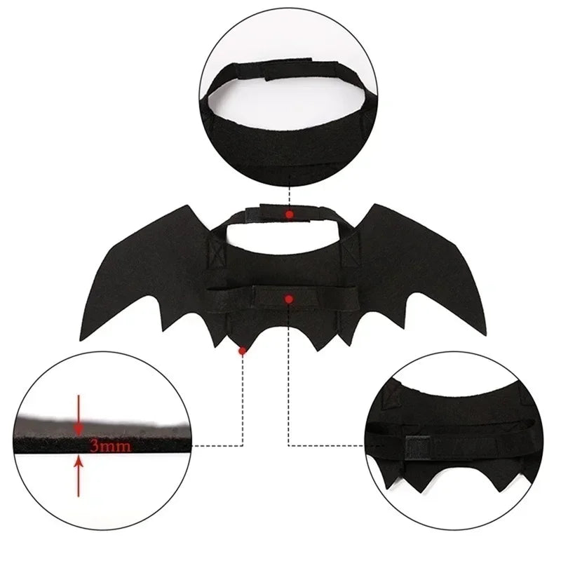 bat dog costume