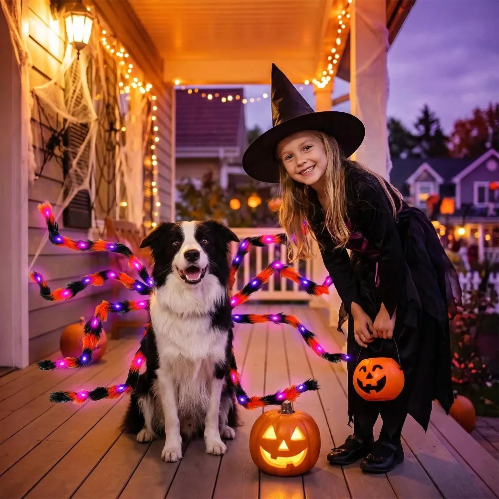 spider dog costume