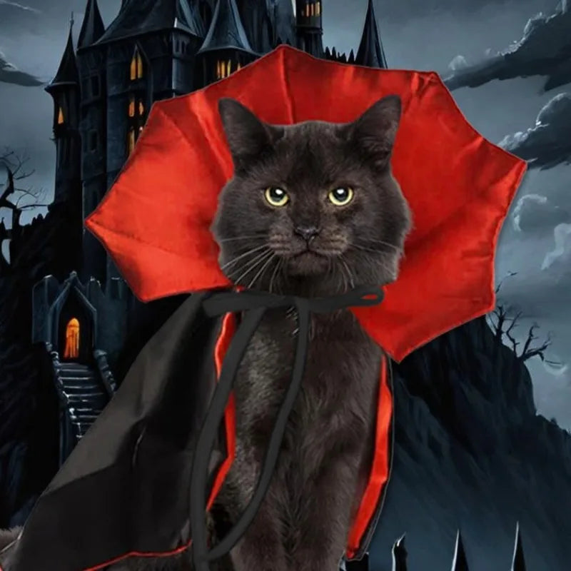 dracula bat-collar cape for dogs