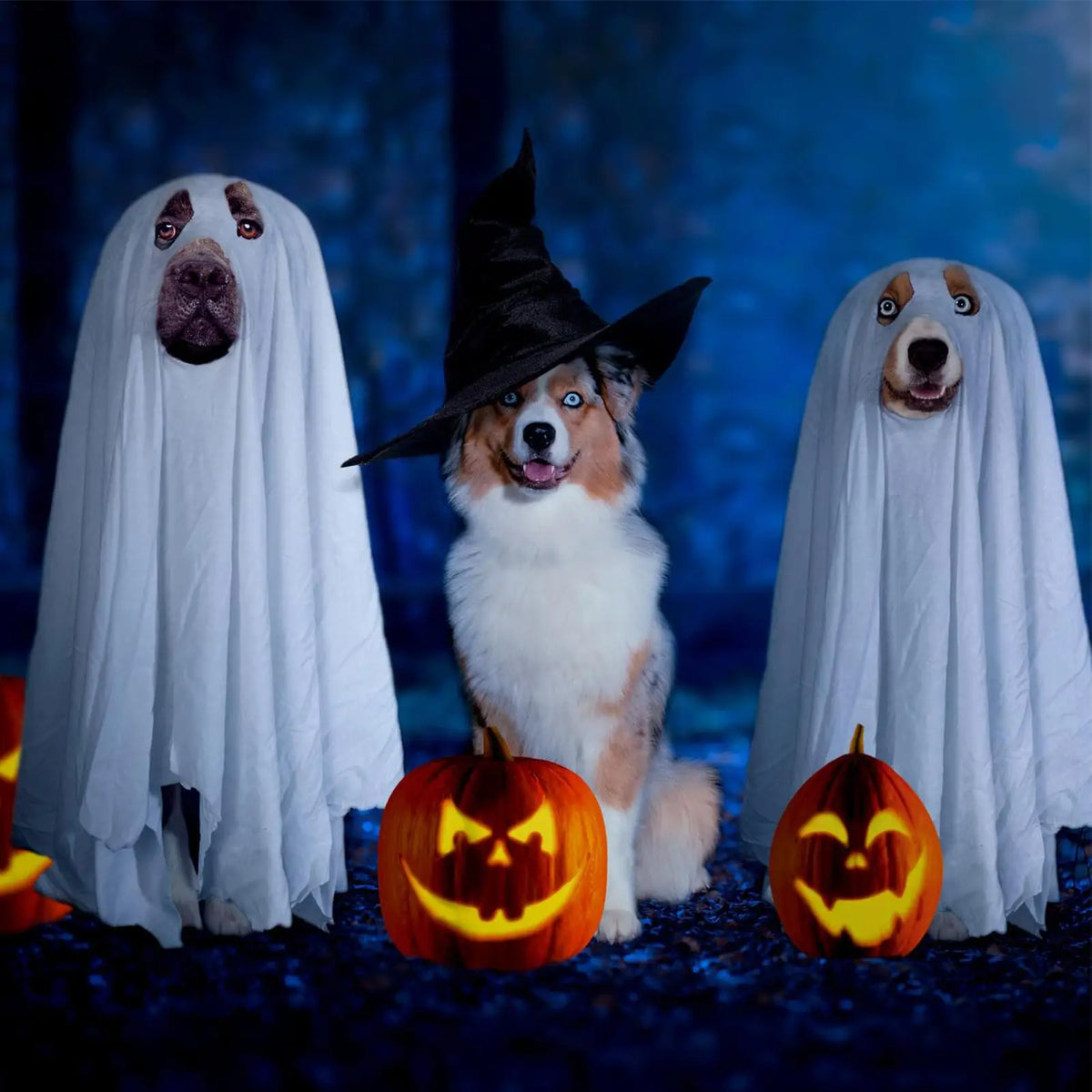 ghost dog costume