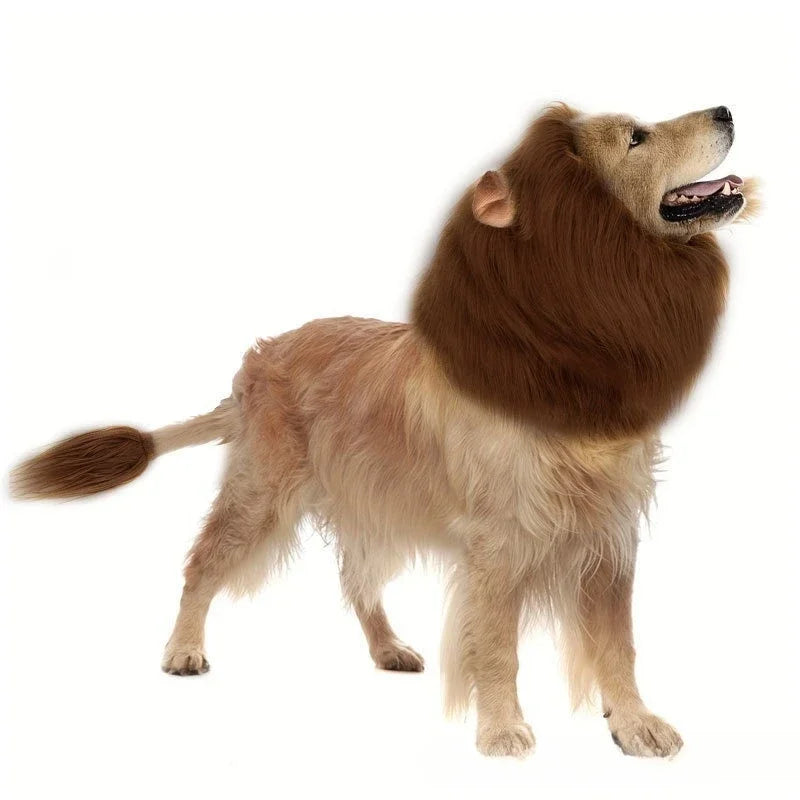 lion dog costume