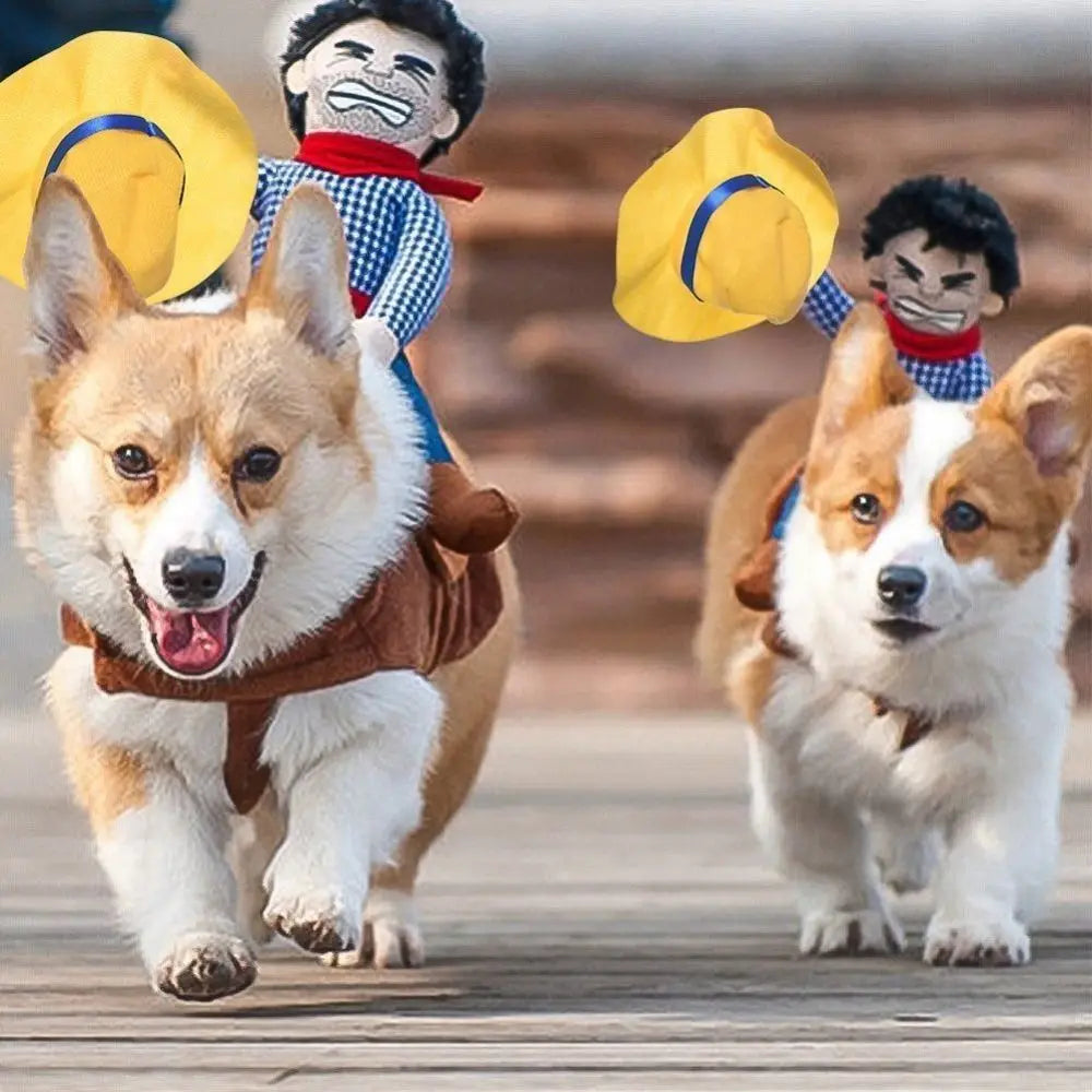 cowboy dog costume