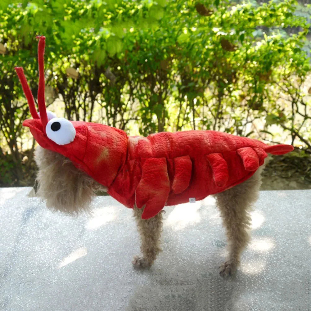 lobster dog costume