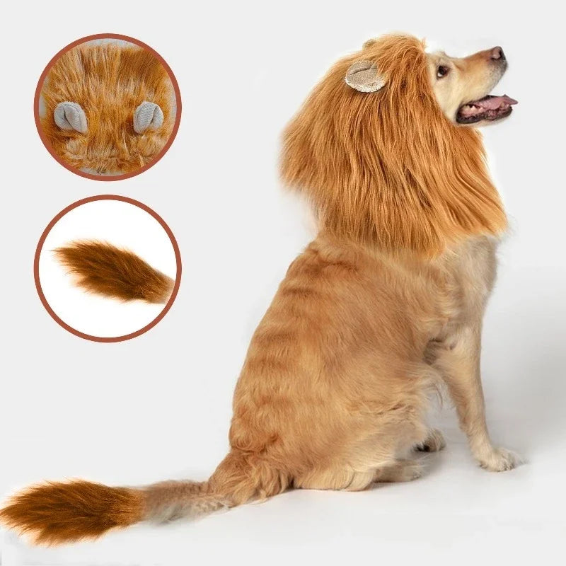 lion dog costume
