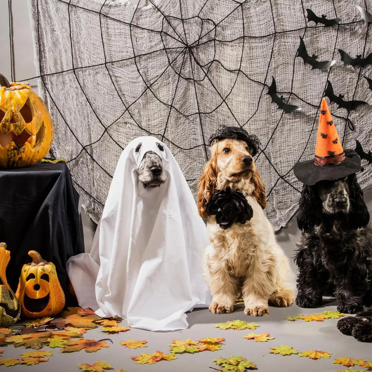 ghost dog costume