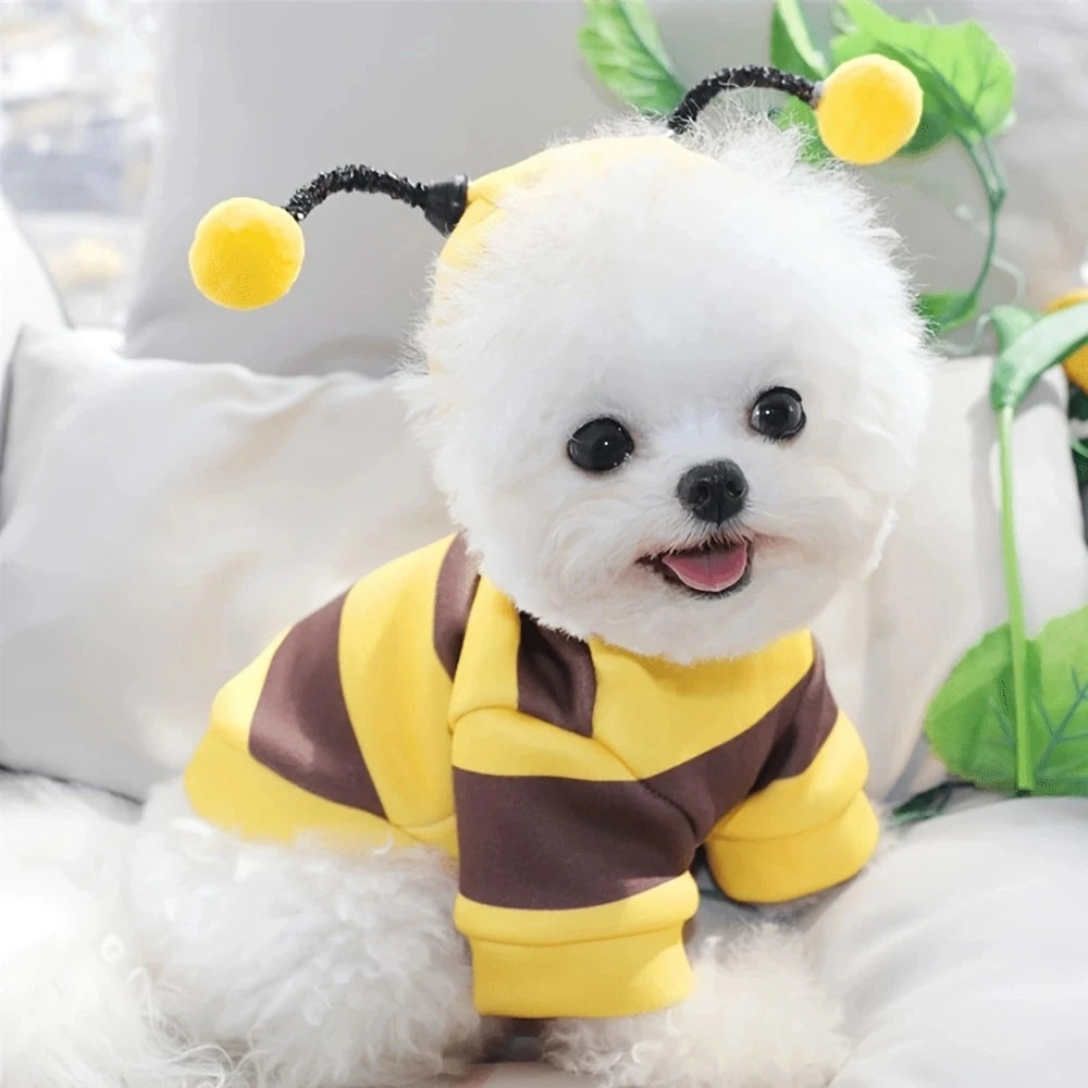 bumblebee dog costume