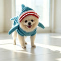 shark dog costume