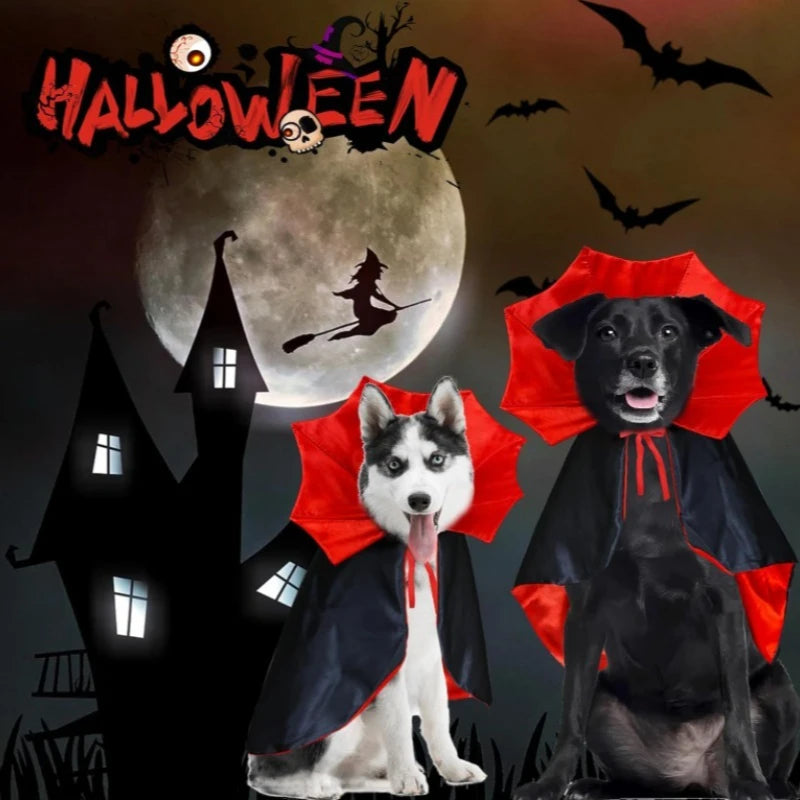 dracula bat-collar cape for dogs