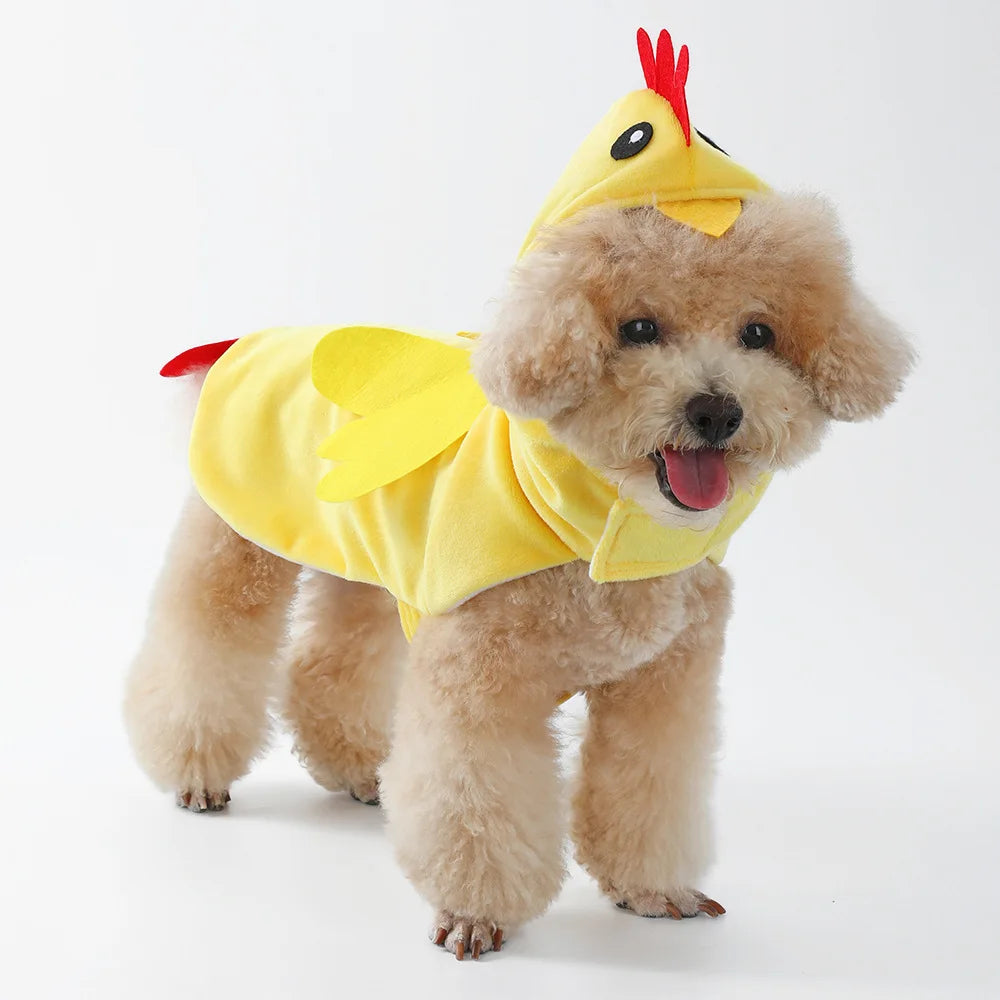 chicken dog costume