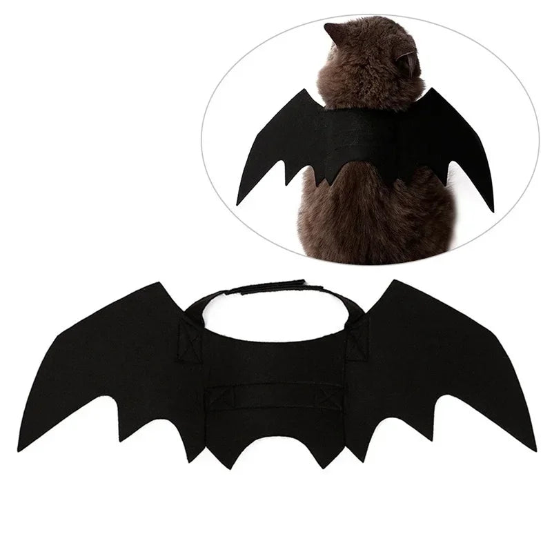 bat dog costume