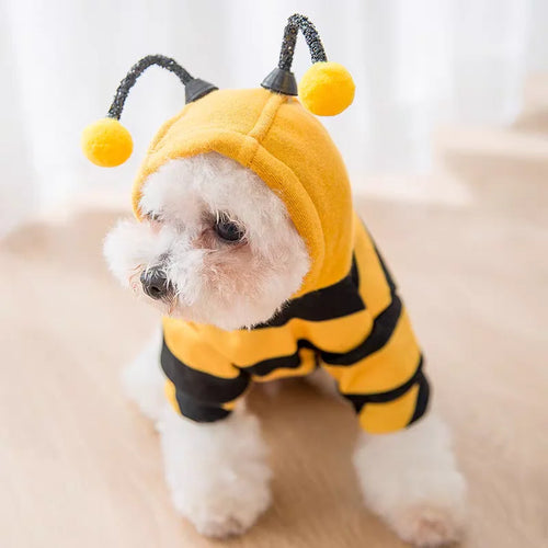 bumblebee dog costume
