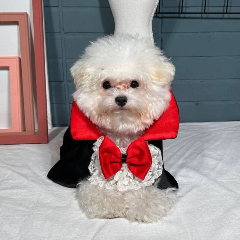 vampire prince cape for dogs