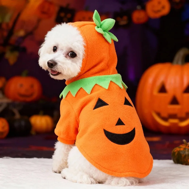 pumpkin dog costume