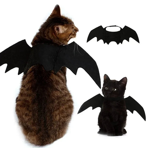 bat dog costume
