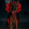 dracula bat-collar cape for dogs