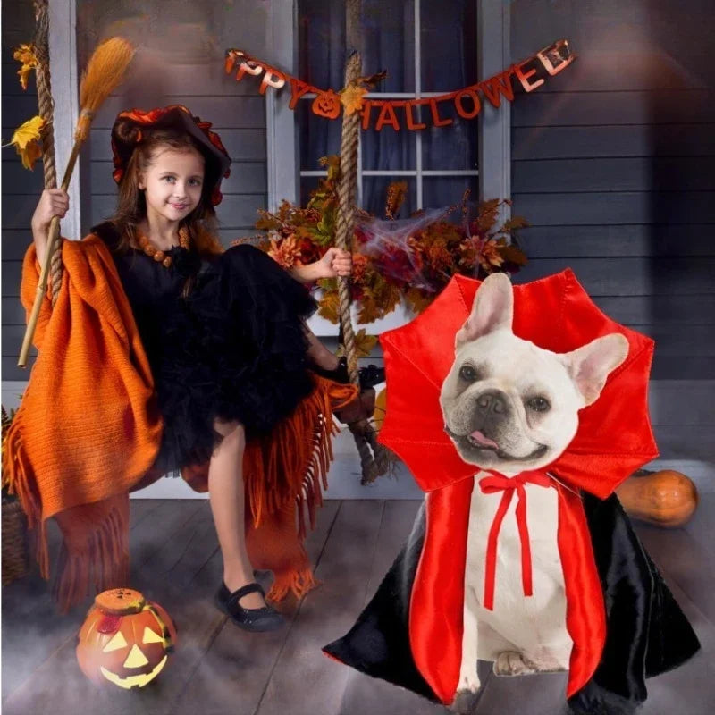 dracula bat-collar cape for dogs