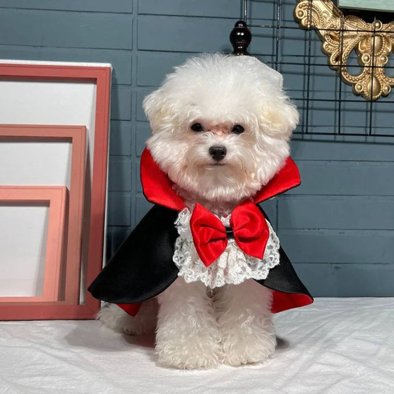 vampire prince cape for dogs