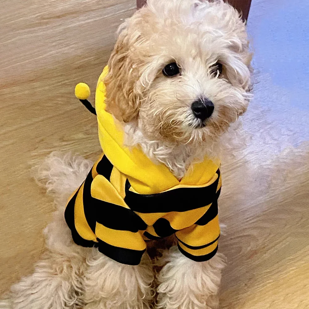 bumblebee dog costume
