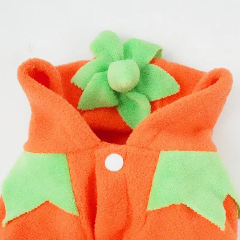 pumpkin dog costume