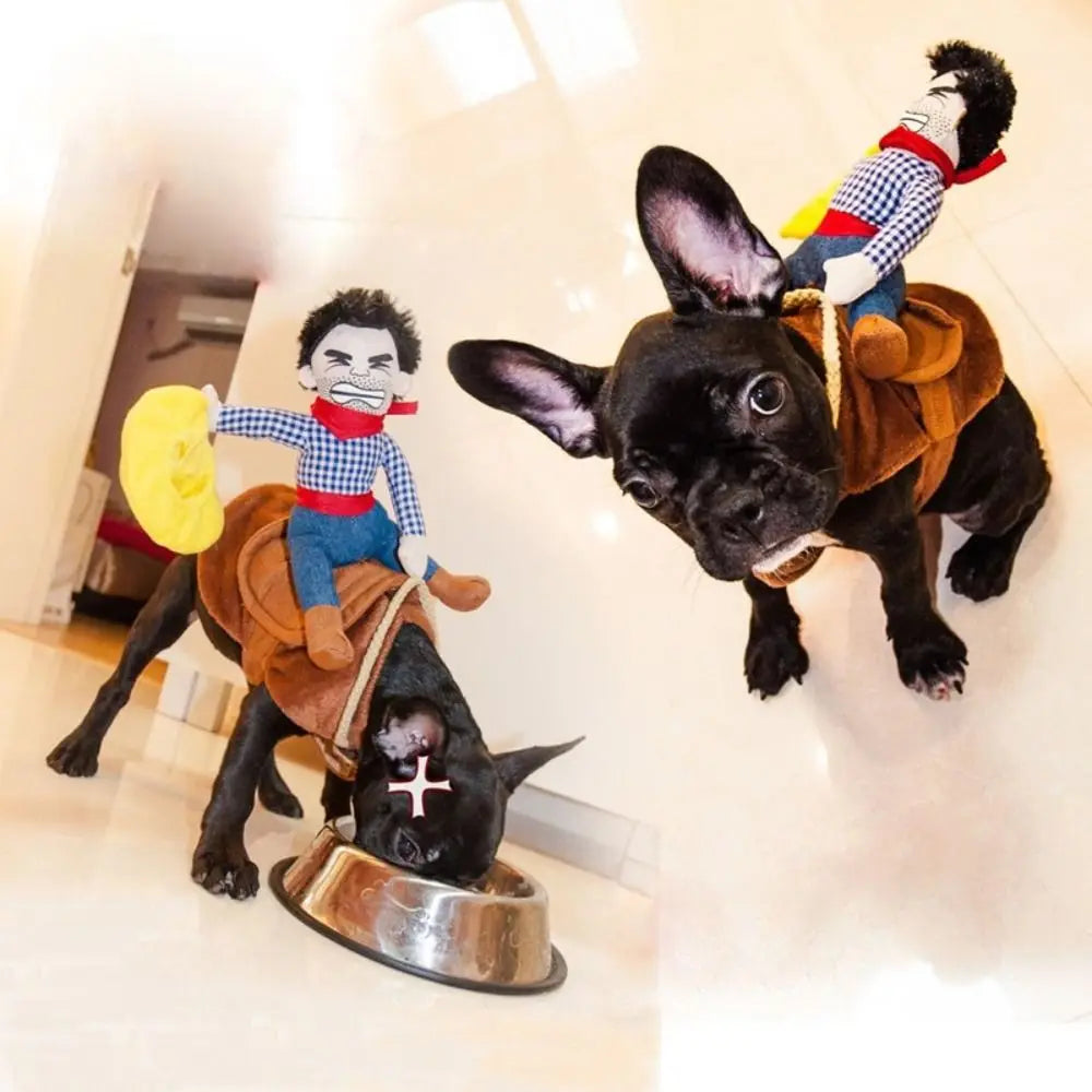 cowboy dog costume