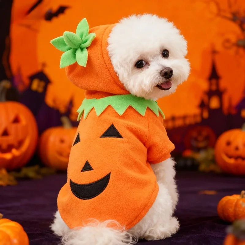 pumpkin dog costume