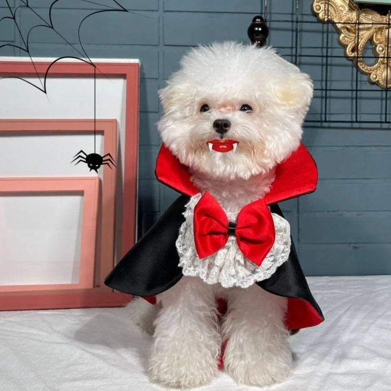 vampire prince cape for dogs
